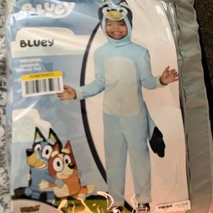 Bluey costume